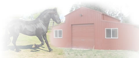 illustration steel horse stables with lean to